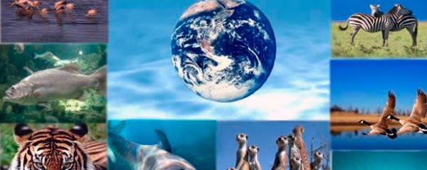 biodiversidad