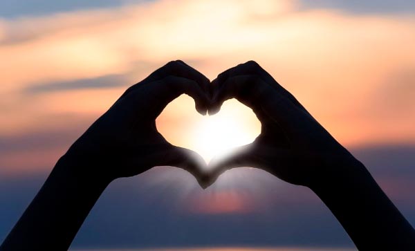 celebra el amor por todo lo alto