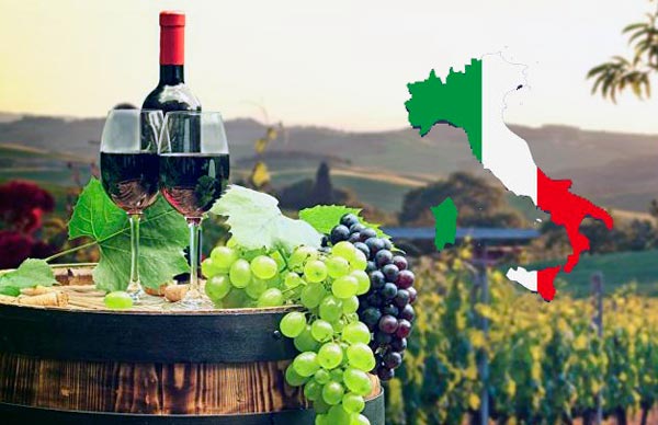 vinos italianos