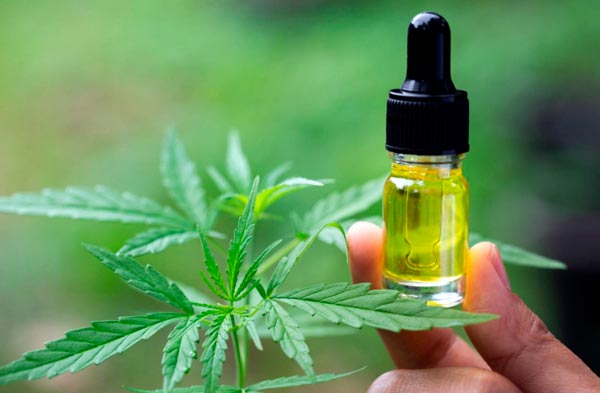 aceite de CBD