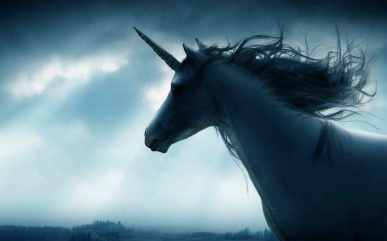 Soñar con unicornios
