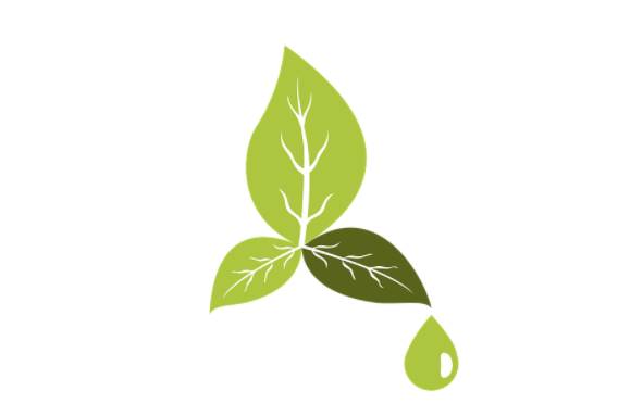 recursos naturales del planeta