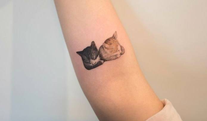 tatuajes de gatos