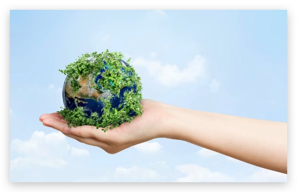 reducir el impacto ambiental