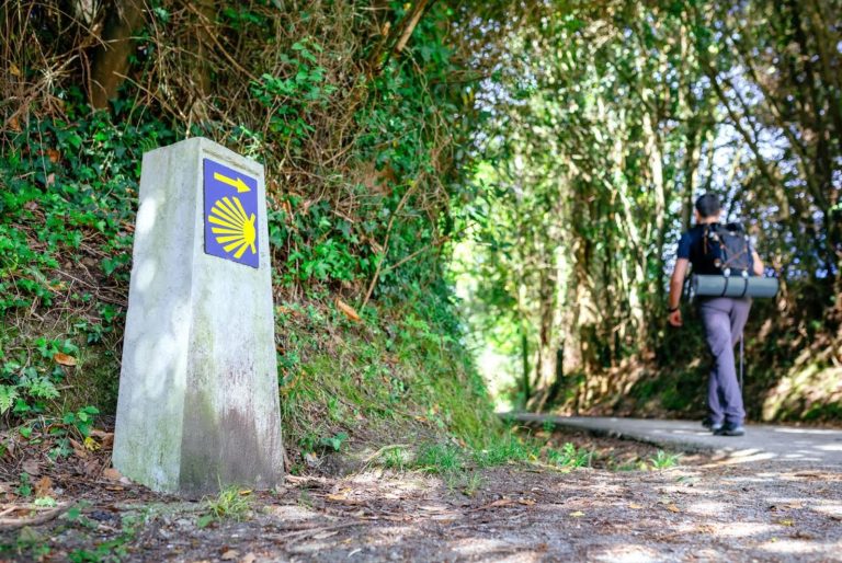 Camino de Santiago con perro