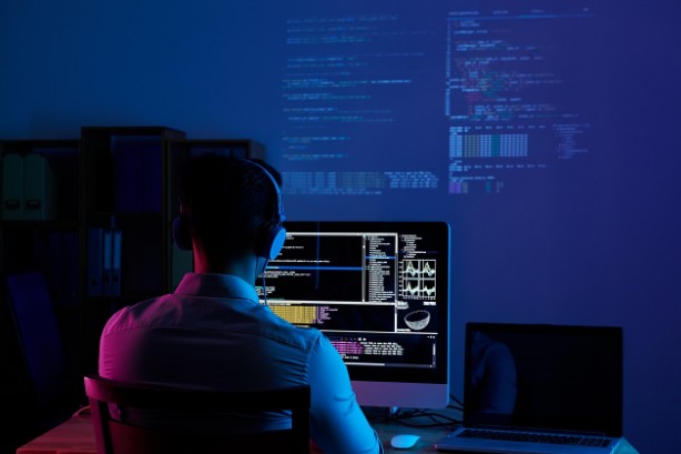 desarrollo software empresas